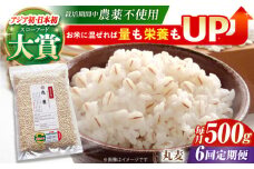 【全6回定期便】栽培期間中農薬不使用 丸麦 500g ( 1等麦使用 ) 【葦農】[HAJ041] 麦 雑穀 雑穀米 麦ごはん 1等麦 特別栽培農産物 佐賀 食物繊維 500g ご飯 定期便