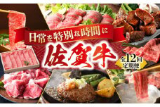 【全12回定期便】日常に贅沢をプラス バラエティ定期便 【肉の三栄】 [HAA075] 定期便 牛肉 佐賀牛 セット 月替わり スライス ステーキ すき焼き ロース サイコロ 切り落とし ハンバーグ  A5 牛肉