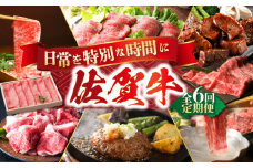 【全6回定期便】日常に贅沢をプラス バラエティ定期便【肉の三栄】 [HAA074] 佐賀牛 セット 月替わり ステーキ スライス ロース サイコロ すき焼き 切り落とし ハンバーグ  A5 牛肉