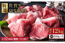 【全12回定期便】佐賀牛 切り落とし 1kg  ( 200g×5パック ) 【肉の三栄】 [HAA082] 佐賀牛 切り落とし モモ ウデ バラ 小分け 牛肉 定期便 黒毛和牛 佐賀