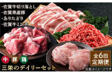 【全6回定期便】ミンチ付き！三栄のデイリーセット 【肉の三栄】 [HAA093] 牛 豚 鶏肉 セット 佐賀牛 切り落とし ミンチ 牛肉 豚肉 鶏 黒毛和牛 ありたどり 佐賀県産