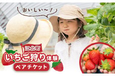 【先行予約】【五感で楽しむ】いちご狩り体験 ペアチケット【花祭いちごの谷】 [HBN002]
