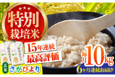 【先行予約】【全6回定期便】特別栽培米 さがびより 玄米 10kg【だいちの家】[HAG020]