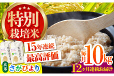 【先行予約】【全12回定期便】特別栽培米 さがびより 玄米 10kg【だいちの家】[HAG021]