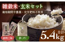 【カラダもよろこぶ】雑穀米・玄米セット ( 令和5年産 夢しずく 5kg・穀物三昧 200g×2袋 ) 【葦農】[HAJ043]