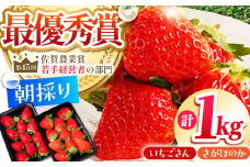 【農薬0への挑戦】【2～4月発送】朝摘みいちご1kg ( いちごさん・さがほのか計4パック ) 【むらおか農園】 [HAF020] / いちご 苺 イチゴ 果物 くだもの フルーツ いちごさん さがほのか 佐賀県 国産