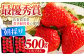 朝摘みいちご ( いちごさん ) 500g ( 250g×2パック ) 【むらおか農園】 [HAF021]/ いちご 苺 イチゴ