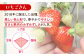 朝摘みいちご ( いちごさん ) 500g ( 250g×2パック ) 【むらおか農園】 [HAF021]/ いちご 苺 イチゴ