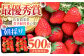 朝摘みいちご ( さがほのか ) 500g ( 250g×2パック ) 【むらおか農園】 [HAF022] / いちご 苺