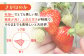 朝摘みいちご ( さがほのか ) 500g ( 250g×2パック ) 【むらおか農園】 [HAF022] / いちご 苺