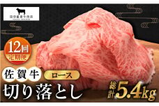 【全12回定期便】佐賀牛 ロース 切り落とし 450g【田中畜産牛肉店】 [HBH068] 黒毛和牛 牛肉 定期便 切り落とし 普段使い 佐賀