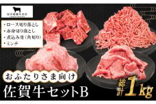 【毎日の料理に】おふたりさま向け 佐賀牛 普段使いセットB【田中畜産牛肉店】 [HBH110]