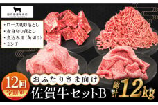 【全12回定期便】おふたりさま向け 佐賀牛 普段使いセットB【田中畜産牛肉店】 [HBH113]