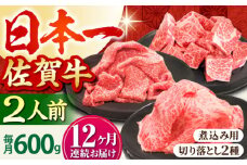 【全12回定期便】おふたりさま向け 佐賀牛 普段使いセットA【田中畜産牛肉店】 [HBH069]