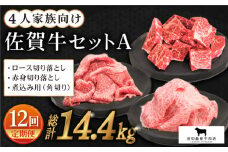 【全12回定期便】4人家族向け 佐賀牛 普段使いセットA【田中畜産牛肉店】 [HBH070]