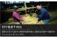 【2度の農林水産大臣賞】佐賀牛 黒毛和牛 牛肉 肉 精肉 挽肉 挽き肉 ひき肉 ミンチ ハンバーグ 佐賀県 佐賀 国産