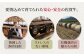 【全3回定期便】佐賀牛 牛すじ 600g 黒毛和牛 牛肉 肉 定期便 牛スジ 牛筋 冷凍 定期 3回 3ヶ月