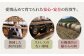 ヒレ ヒレステーキ フィレ フィレステーキ シャトーブリアン 赤身 赤身肉 厚切り 希少部位 A5 A5ランク 牛肉 精肉