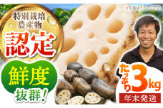 【先行予約】【年末発送 ※12/25〜27発送】＜地元江北町産＞泥付き 蓮根 3kg【百武青果】 [HAE015]