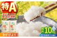 【全6回定期便】令和5年産 さがびより 白米 10kg 佐賀 米 コメ お米 精米 5kg 2袋 定期便 特A評価 特A 特A米