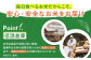 【全6回定期便】夢しずく 白米 10kg ( 5kg×2袋 ) 佐賀 米 コメ お米 精米 5kg 2袋 定期便 60kg