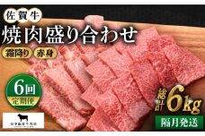 【全6回定期便】【隔月発送】佐賀牛 焼肉セット 1.0kg ( 霜降り・赤身 各500g ) 【田中畜産牛肉店】 [HBH123]