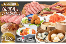 【全6回定期便】佐賀牛・いか加工品定期便【田中畜産牛肉店・呼子かべしま直売所】 [HZY005]
