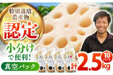 【先行予約】【特別栽培農産物 認定】＜地元江北町産＞佐賀 れんこんパック 10パック ( 250g×10パック ) 【百武青果】レンコン 真空パック [HAE016]