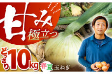 【先行予約】【毎日のお料理に】江北町産 たまねぎ 約10kg【百武青果】 [HAE017]