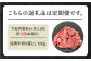 佐賀牛 切り落とし 500g 黒毛和牛 肉 牛肉 定期便 月2回 1ヶ月に2回 ロース バラ 赤身 定期