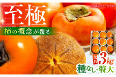 【10月下旬〜11月下旬発送】種なし柿 太月・渋抜き柿 3kg【小林農園】 [HAX001] 柿 果物 フルーツ 佐賀県 江北町