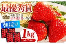 【農薬0への挑戦】【2～4月発送】朝摘みいちご いちごさん 1kg（250g×4パック）【むらおか農園】 [HAF023] / いちご 苺 イチゴ 果物 くだもの フルーツ いちごさん さがほのか 佐賀県 国産
