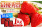 朝摘みいちご いちごさん 1kg（250g×4パック）【むらおか農園】 [HAF023] / いちご 苺 イチゴ 果物