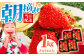 朝摘みいちご さがほのか 1kg（250g×4パック）【むらおか農園】 [HAF024] / いちご 苺 イチゴ 果物