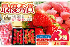 【全3回定期便】いちご食べ尽くし定期（さがほのか いちごさん こおりいちご）【むらおか農園】 [HAF027]