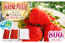 【農薬0への挑戦】【年末発送】王様のいちご いちごさん 800g（400g×2箱）【むらおか農園】 [HAF028] 年内発送