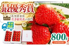 【農薬0への挑戦】【年末発送】王様のいちご さがほのか 800g（400g×2箱）【むらおか農園】 [HAF029] 年内発送