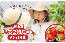【先行予約】【五感で楽しむ】いちご狩り体験 チケット 4枚【花祭いちごの谷】 [HBN005]