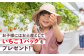 【先行予約】【五感で楽しむ】いちご狩り体験 チケット 4枚【花祭いちごの谷】 [HBN005]