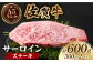 佐賀牛サーロインステーキ 計600g（300ｇ×2パックA5ランク 佐賀牛 牛肉 サーロイン ステーキ A5 佐賀牛