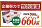 佐賀牛 ヒレステーキ 660g【がばいフーズ】 [HCS017] A5 ヒレ フィレ 真空パック 赤身 牛肉 ステーキ 黒毛和牛