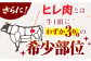 佐賀牛 ヒレステーキ 600g【がばいフーズ】 [HCS017] A5 ヒレ フィレ 真空パック 赤身 牛肉 ステーキ 黒毛和牛