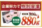 佐賀牛 ヒレステーキ 880g【がばいフーズ】 [HCS018] A5 ヒレ フィレ 真空パック 赤身 牛肉 ステーキ 黒毛和牛