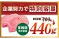  A5ランク シャトーブリアン 佐賀牛 A5 佐賀 ヒレ フィレ 赤身 赤身肉 牛肉 ヒレ肉 フィレ肉 ステーキ 国産 和牛