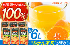 【佐賀県産温州みかん使用】人気上昇中！さがみかん100　1L×6本【JAさが 杵島支所】 [HAM039]みかん みかんジュース ミカン 蜜柑 佐賀みかん 果汁100% 濃縮還元