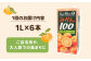 ＜全6回定期便＞ 【佐賀県産温州みかん使用】さがみかん100　総計36本（1L×6本 果汁100% 濃縮還元