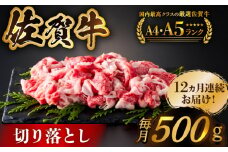 【様々な料理に使いやすい】＜全12回定期便＞佐賀牛切り落とし 500g【がばいフーズ】佐賀牛 A5 牛丼 切落とし 切り落し 牛肉 和牛 黒毛和牛 小分け 冷凍 きりおとし 佐賀  12ヶ月 12回 定期 [HCS031]