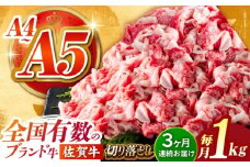 【様々な料理に使いやすい】＜全3回定期便＞佐賀牛切り落とし 1kg（500g×2パック）【がばいフーズ】佐賀牛 A5 牛丼 切落とし 切り落し 牛肉 和牛 黒毛和牛 小分け 冷凍 きりおとし 佐賀 3ヶ月 3回 定期 [HCS032]