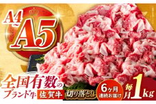 【様々な料理に使いやすい】＜全6回定期便＞佐賀牛切り落とし 1kg（500g×2パック）【がばいフーズ】佐賀牛 A5 牛丼 切落とし 切り落し 牛肉 和牛 黒毛和牛 小分け 冷凍 きりおとし 佐賀 6ヶ月 6回 定期 [HCS033]