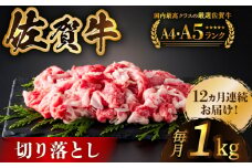 【様々な料理に使いやすい】＜全12回定期便＞佐賀牛切り落とし 1kg（500g×2パック）【がばいフーズ】佐賀牛 すき焼き しゃぶしゃぶ 切落とし 切り落し 牛肉 和牛 黒毛和牛 小分け 冷凍 きりおとし 佐賀 佐賀県  [HCS034]